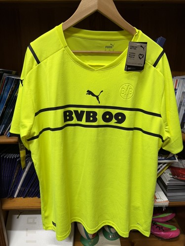 Borussia dortmund football - borussia,