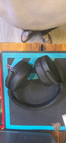 Sennheiser 400s black - sennheiser,
