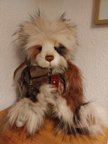 Charlie bears big brother - charlie,