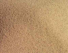 Sand Blasting Blaster Walnut