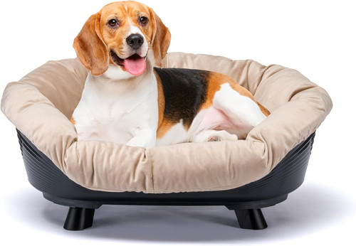 Cat dog bed with cushion - bed,