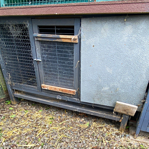 Wooden hutch animal cage - wooden,