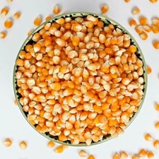 Popcorn Kernels Seeds Popping