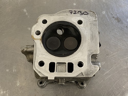 Honda gx200 skimmed cylinder - honda,