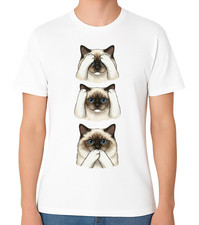 Ragdoll See No Evil Hear No