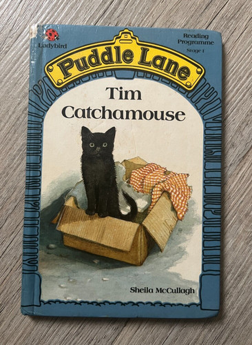 Vintage 1985 ladybird - 1985, puddle