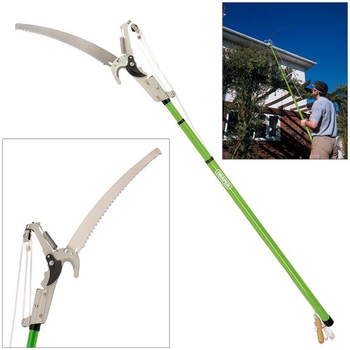 Draper 33855 tree - draper,