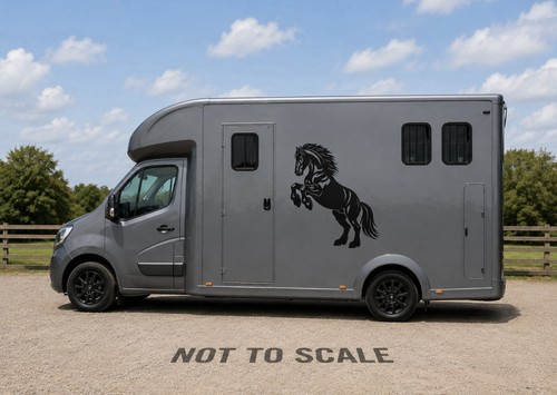 Horse prancing box - box, vinyl