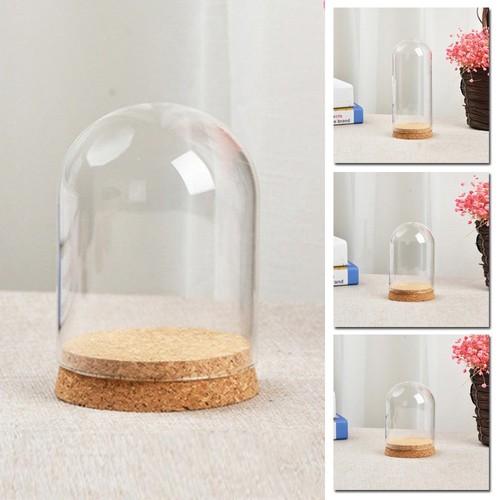 Glass display bell - glass,