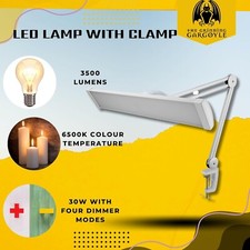 LED Wide Desk Light Daylight Lumi Dimmable Clear Light Table Lamp With Clamp