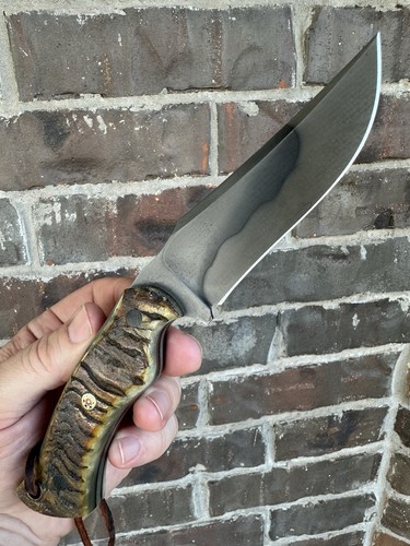 New sheep rams - horn, hamon