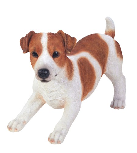 Vivid arts jack russell - vivid,