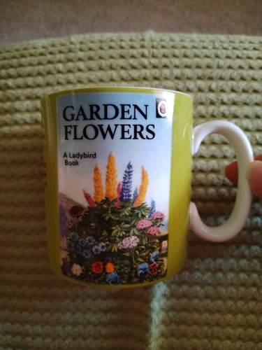 Spode ladybird garden - garden, flowers