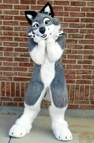 Grey white long - grey, fur