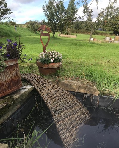 Hedgehog pond ramp