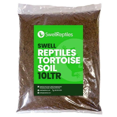 Swell reptile tortoise - swell,