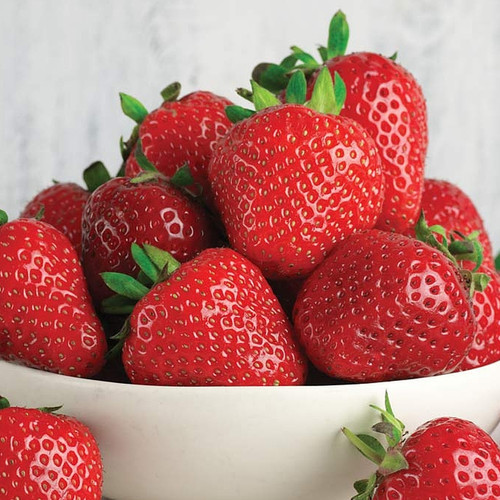 Strawberry marshmello fast - 'marshmello',