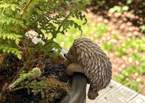 Hedgehog pot hanger indoor - hedgehog,