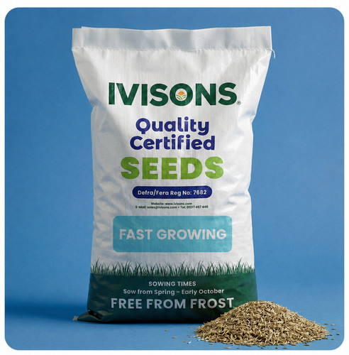 Super fast growing - growing, grass