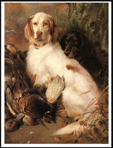 English and gordon setter - english,