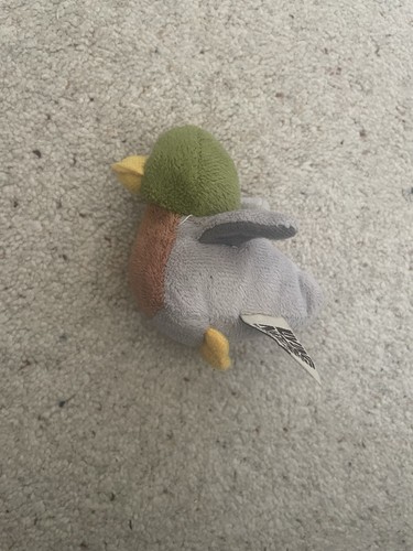Living nature small duck - duck, soft