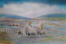 Kay Dawson Watercolours A2 WATERCOLOr 'Sheep Race'...