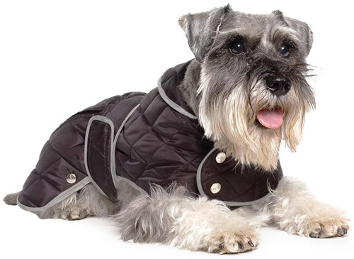 Ancol muddy paws black - ancol, paws,