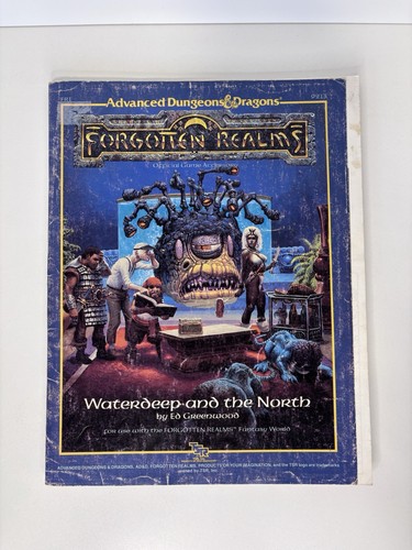Waterdeep the north - the,
