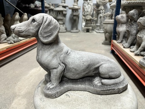 Dachshund sausage dog garden - sausage,