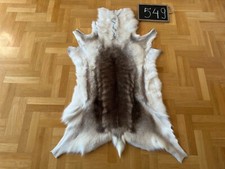 Exclusive Reindeer Hide Skin 138x100 cm Scandinavian Rug Prime Quality Real #549