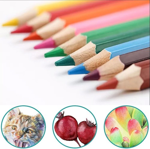 Professional colouring - 24,