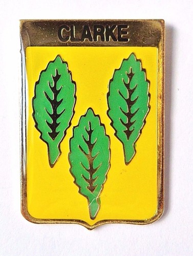 Clarke irish family surname - clarke,