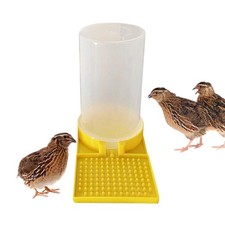 Large Capacity Quail Water