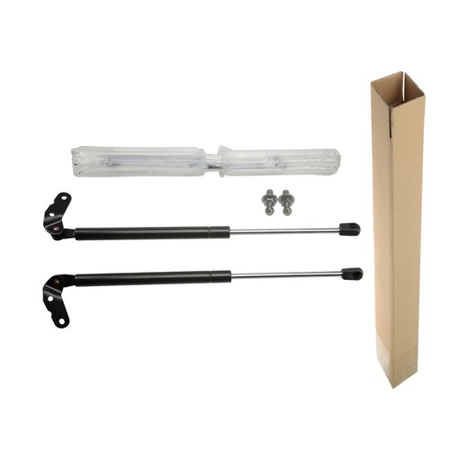 Tailgate gas struts - 2x, with