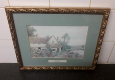 Framed Print Honeysuckle