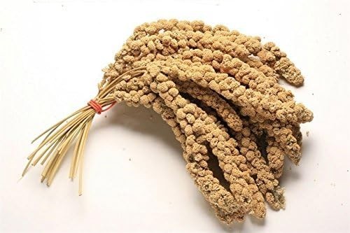 Pet ting 1kg millet - 1kg, for
