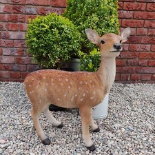 Vivid Arts - Large Fallow Deer