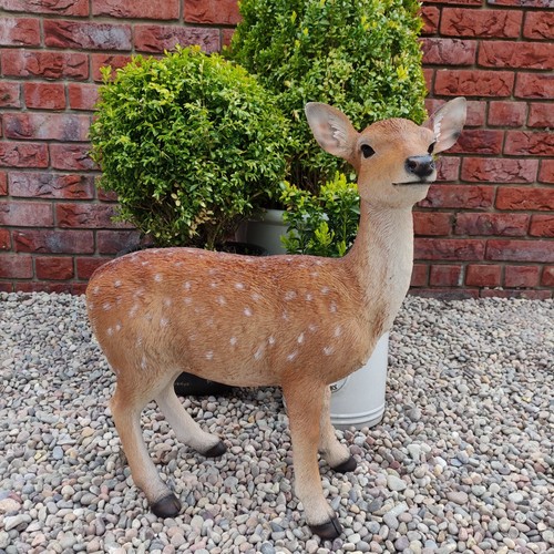 Vivid arts large fallow deer - large,