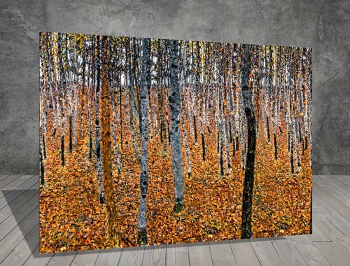 Gustav klimt birch forest - klimt,