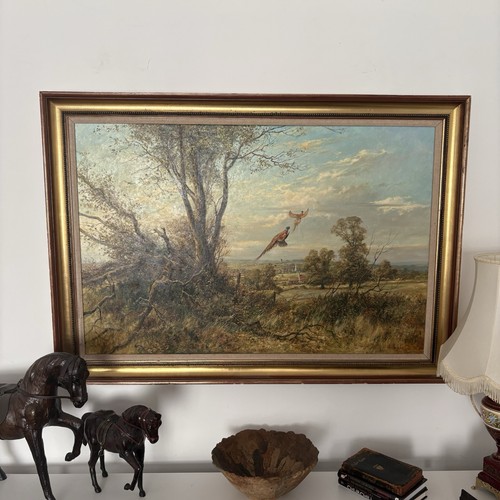 Alan fearnley original large - alan,