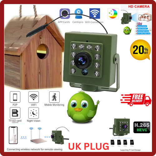 Green wifi bird box - wifi, camera