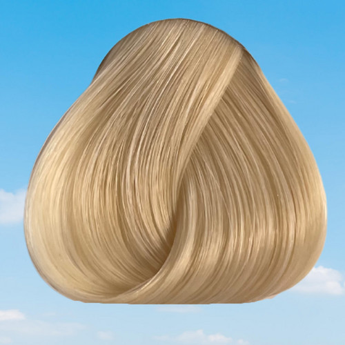 Riche directions hair - directions,
