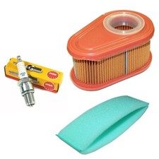 Hayter Harrier 56 Pro Service Kit Spark plug & Air Filter New