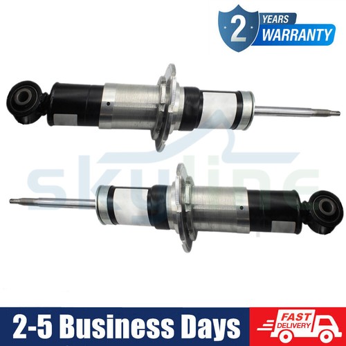 Pair rear shock absorber - pair,