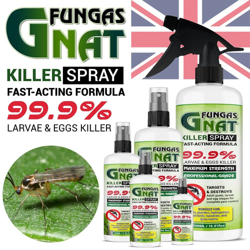 100 natural fungus gnat - 100%,
