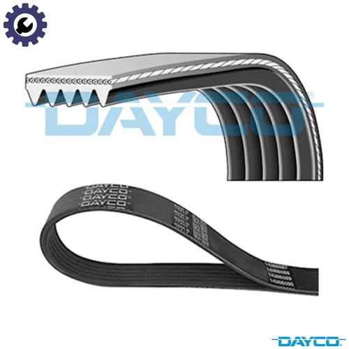 Vribbed belt 5pk968 - 5pk968, alfa