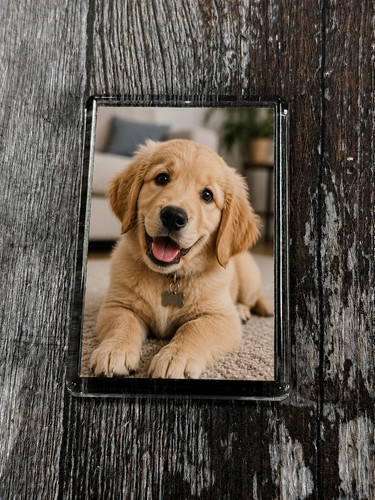 Acrylic photo fridge - magnet,