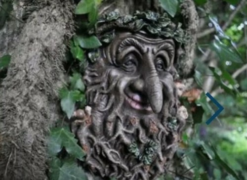 Tree ent face - ent,