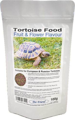 Pet friend tortoise - friend, food