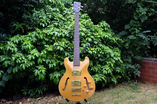 Warwick star bass - bass, pro